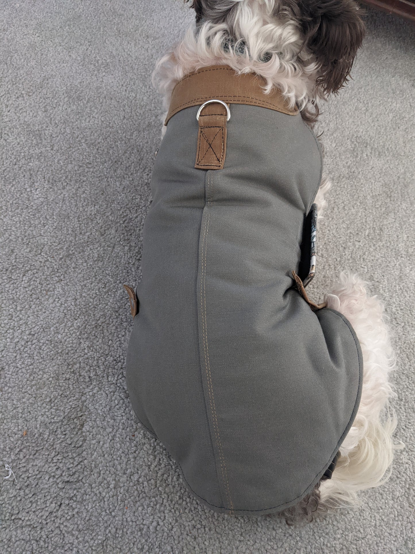 Xtra Special Custom Dog Jackets